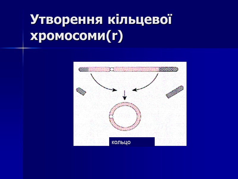 Утворення кільцевої хромосоми(r) кольцо